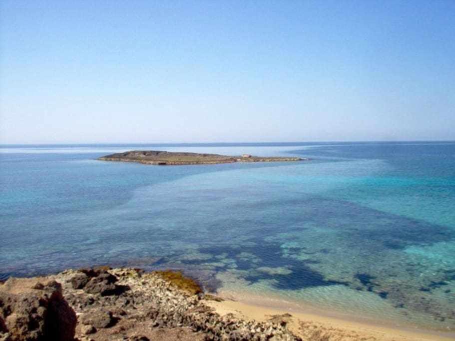 App Girasole 1A 300 Metri Dal Mare In Salento Apartment ตอร์เร ซาน จิโอวานนิ อูเจนโต ภายนอก รูปภาพ